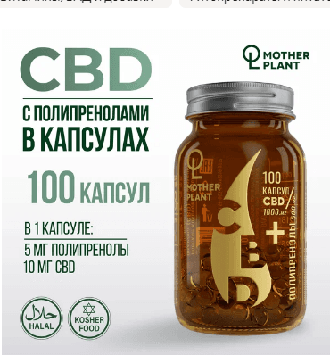 Масло CBD с полипренолами в капсулах (100 капсул по 10 мг), Motherplant